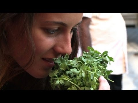 Neglected French suburb grabs tourist attention