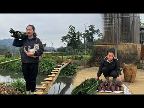 In i Skogen | En Ensam Mammas Oväntade Räddning av en Liten Kattunge