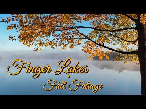 Finger Lakes Fall Colours and Attractions, Wineries, Wine Trail - NY Fall Foliage | Upstate New York