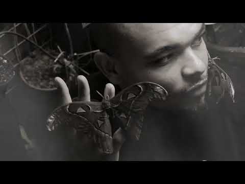 Caramelo - #Nachtfalter [prod. NxxxxxS]