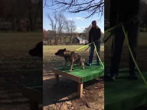 Logan z Jukasu - Protection- 10 months