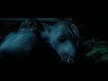 Werewolf Scene Harry Potter And The Prisoner Of Azkaban