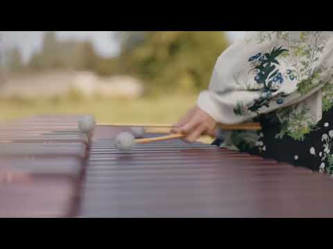 Ria Ideta Riverdance/ Bill Whelan