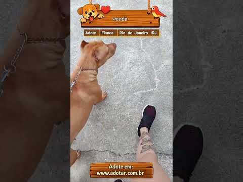 Vídeo de wanda