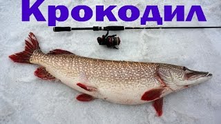 Ссылка