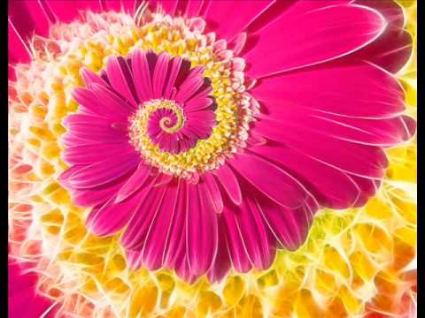 Dino Psaras - Night Party