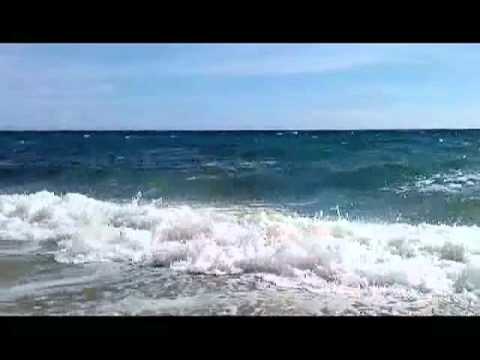 Distress Call (the Blue Whale)