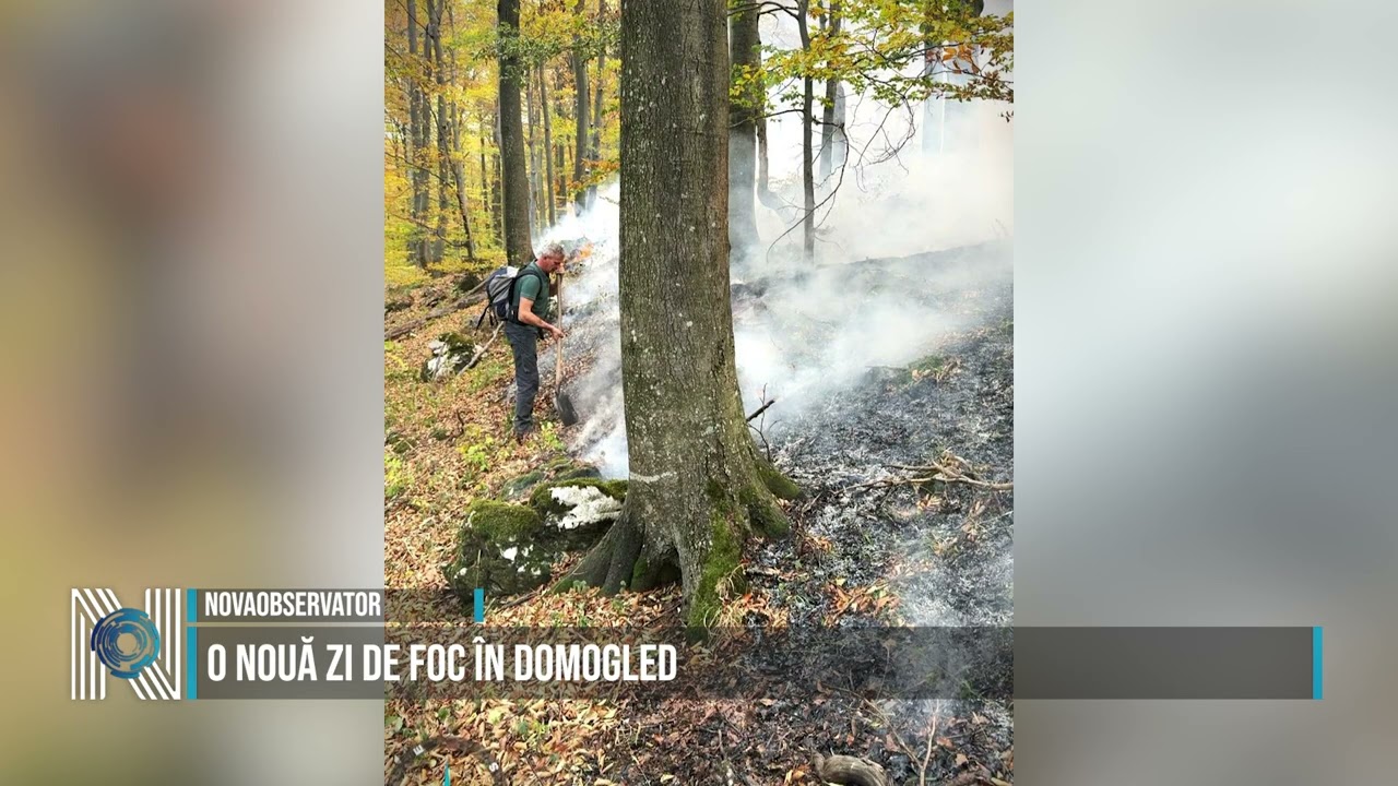 O nouă zi de foc în Domogled