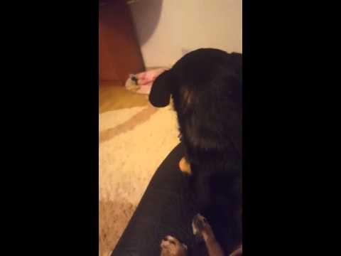 Învață să spună mama :)