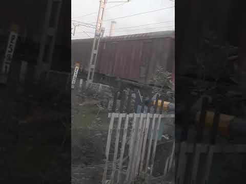 #music #song #live #love #comingsoon #abdulhaq #animals #1January 2025 #islamicmusic #abdulallah