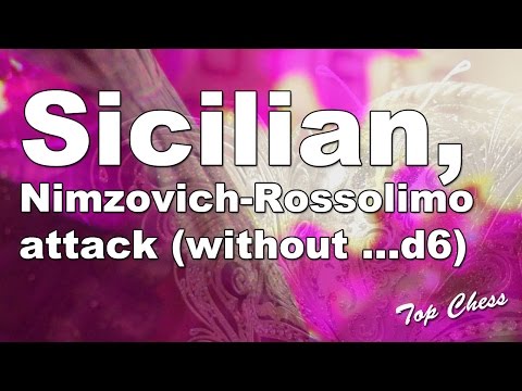 Chess - Sicilian, Nimzovich-Rossolimo attack (without ...d6)