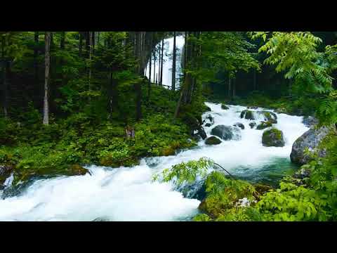 32   Surja Es Sexhde   Adhurimi  Kuran Shqip