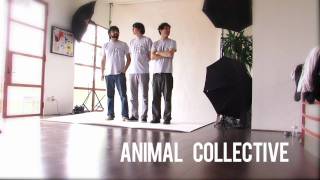 Animal Collective Speak Up for Seals