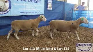 Download lagu Lot 113 & 114 mp3 Download lagu Lot 113 & 114 mp3
