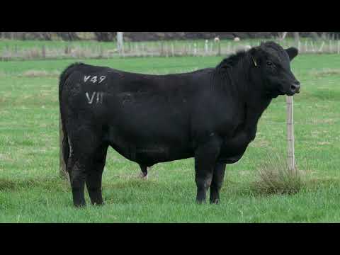 Lot 22  SEVEN HILLS V49 PV