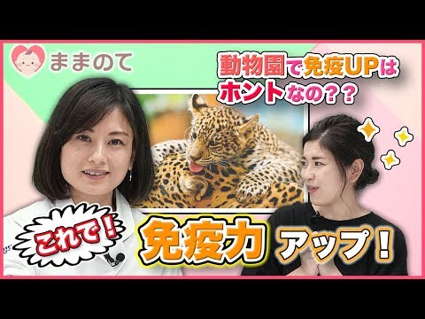鶏の免疫力を高める天然抗生物質はどれですか?メリットは何ですか?  庭園