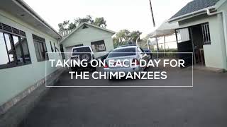 preview picture of video '"Taking on each day for the Chimpanzees"'