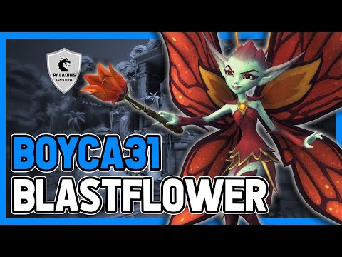 Boyca31 Willo Competitive (Grandmaster) BLASTFLOWER