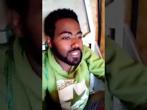 Goota Dachee Salaalee PP'n Mana Baaste Ajjeeste Gatte