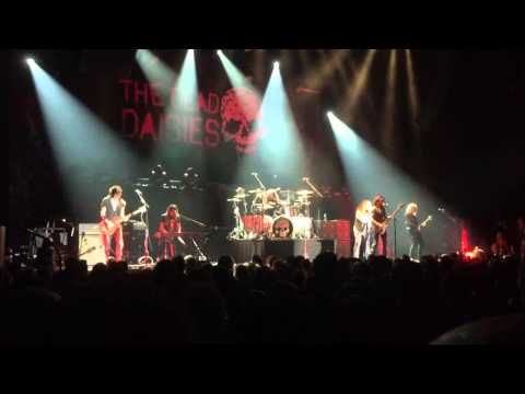 The Dead Daisies - With You And I