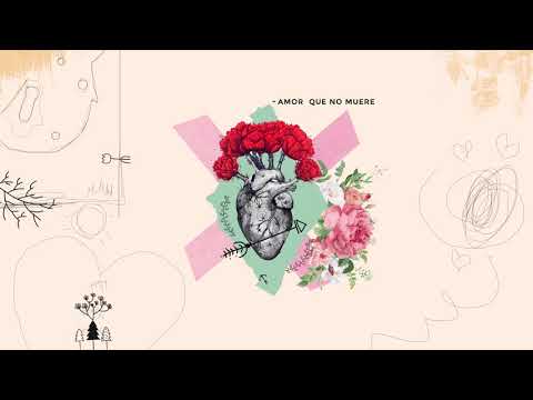 Video Amor Que No Muere (Audio) de Jeloz