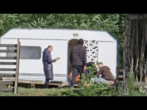 Cătălin ne de în gât ca am furat costița la căsuța din pădure ! 