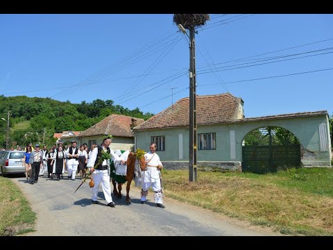 Boul cu sunzuiene, de la Topârcea