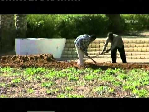 sekem    final   megakurz