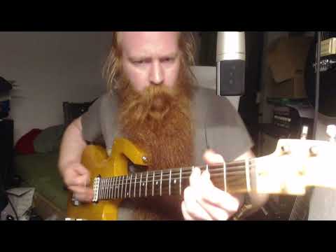 Parker P-36(?) with Dimarzio Evolution and PAF Pro Pickups