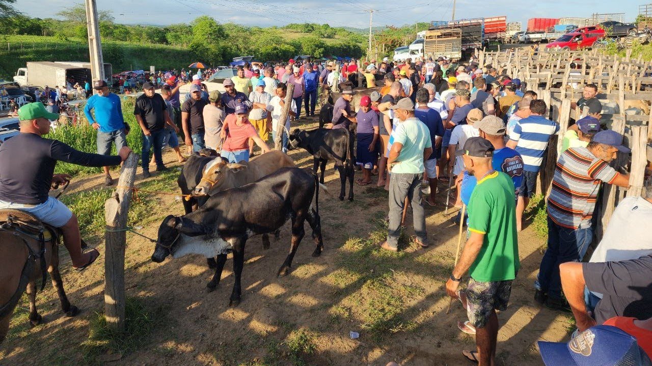 FEIRA DE CAMARADA, CUMARU, PERNAMBUCO, 23/02/2025