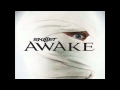 Skillet - Awake and Alive mp3 