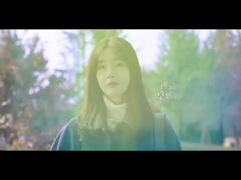 來自京都的信 A Letter from Kyoto ｜ 預告 Trailer