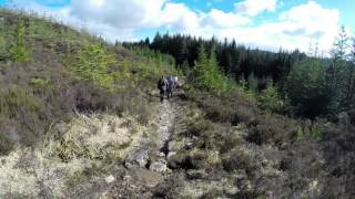 Scottish Highlands Road Trip