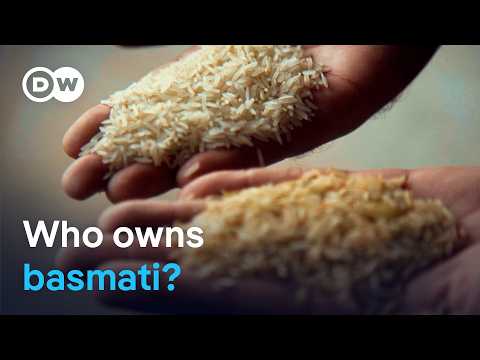 Basmati rice: India, Pakistan and the EU dispute | DW News