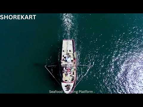 ShoreKart
