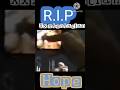 Xxxtentacian Hope Croud Singing