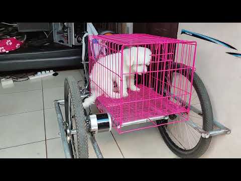 Tilting E Trike with dog carrier installed