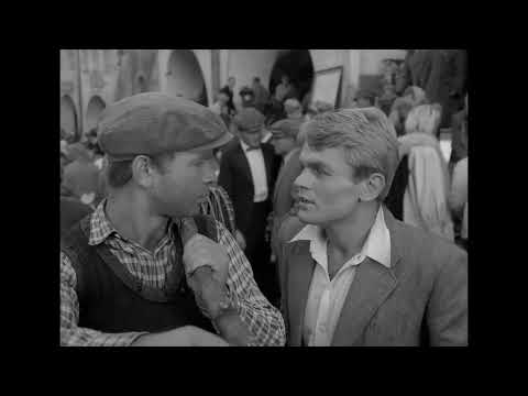 Paździoch - menda bazarowa, handluje kotami z miasta Łodzi za dwa worki pszenicy i rower [Sami Swoi]