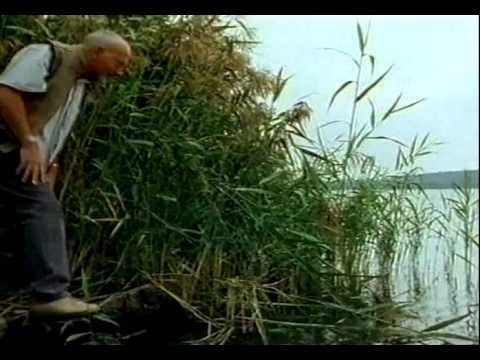 Mittendrin an einem Seeufer Folge 25 Teil 1