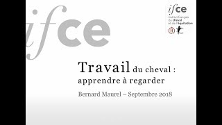 Une webconférence gratuite sur la locomotion du cheval proposée en février par l'IFCE