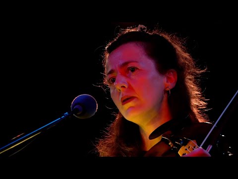 Und dort fand ich die ganze Welt - Fabiana Striffler