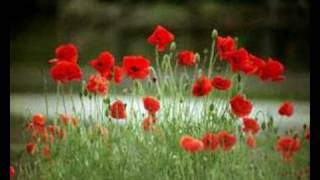 Harvest (Neil Young)