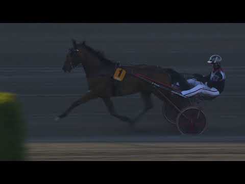 Här vinner Wild Love Harper Hanovers 2021