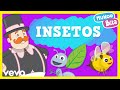 Mundo Bita Insetos