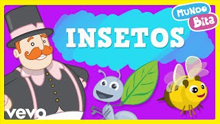 Insetos Music Video