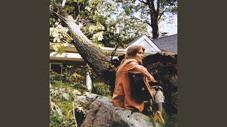 The Sound of A Tree Falling