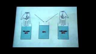 Dr Maha Sabry CNS 11