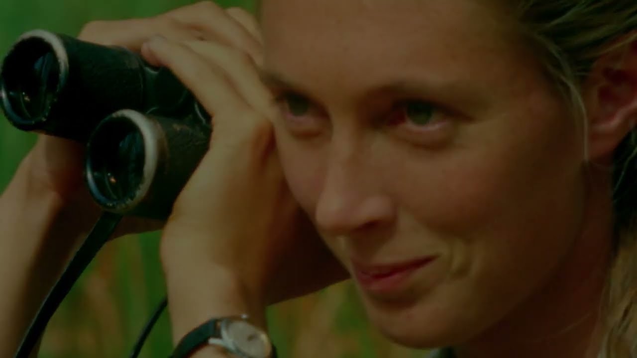 Becoming Jane: The Evolution of Dr. Jane Goodall at the Natural History Museum of Utah