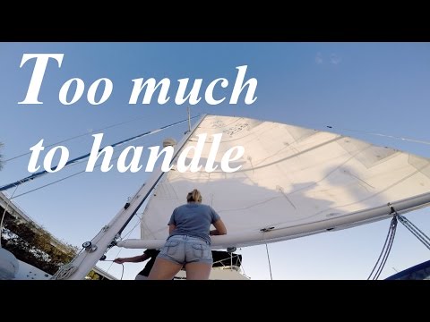 Too Much to Handle! - Lazy Gecko VLOG 41