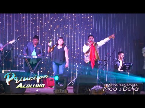 Adios Lindo Torito - Principe Acollino